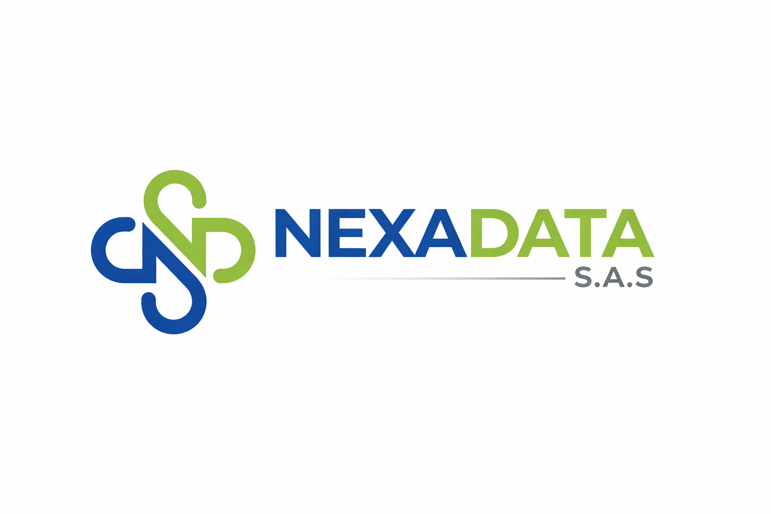 NexaData logo
